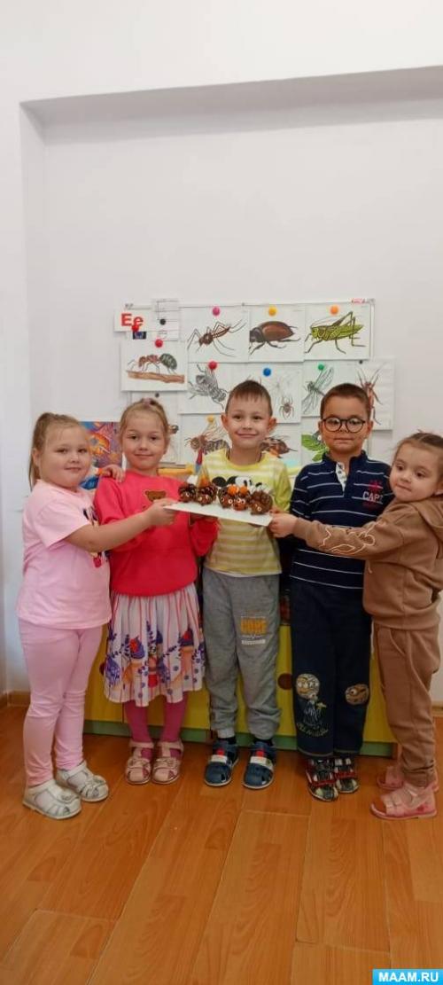 Какие дополнительные материалы можно использовать для украшения ежика. Еж, ежик. Поделки из природных материалов