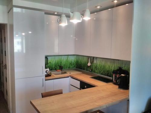 Маленькая кухня с угловой мойкой. Г-образная кухня