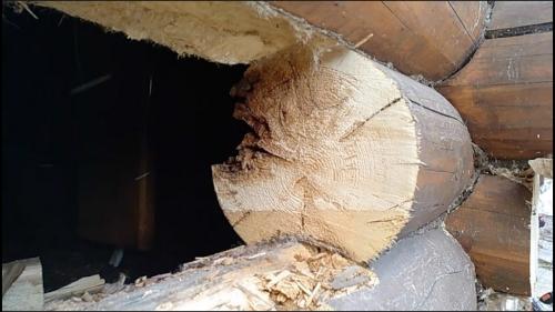 Как правильно построить дом из оцилиндрованного бревна: пошаговая инструкция 03