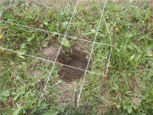 Какой фундамент лучше всего подойдет для дома из бруса. Технология строительства винтового фундамента