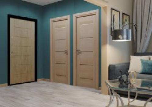 Темные двери в интерьере 2022: ТОП-200 лучших идей с фото (+ новинки) 16