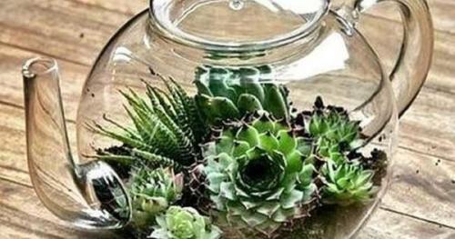 Мини Сад в стекле. Емкости для флорариумов