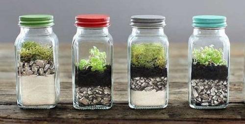 Мини Сад в стекле. Емкости для флорариумов