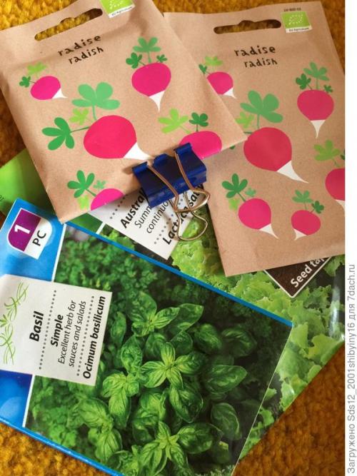 Миниатюрный Сад на подоконнике. Минисад на подоконнике