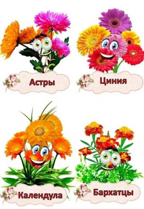 Огород на подоконнике в детском саду шаблоны. Карточки - бирки «Огород на подоконнике» материал