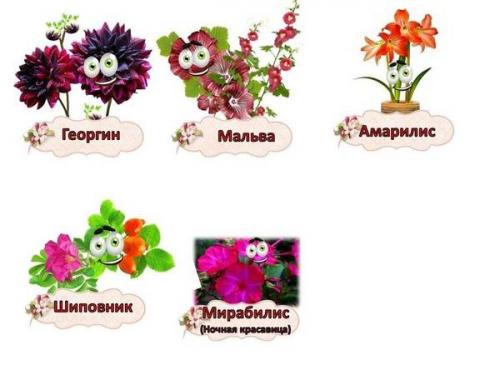 Огород на подоконнике в детском саду шаблоны. Карточки - бирки «Огород на подоконнике» материал
