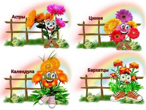 Огород на подоконнике в детском саду шаблоны. Карточки - бирки «Огород на подоконнике» материал