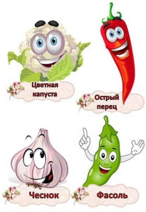 Огород на подоконнике в детском саду шаблоны. Карточки - бирки «Огород на подоконнике» материал