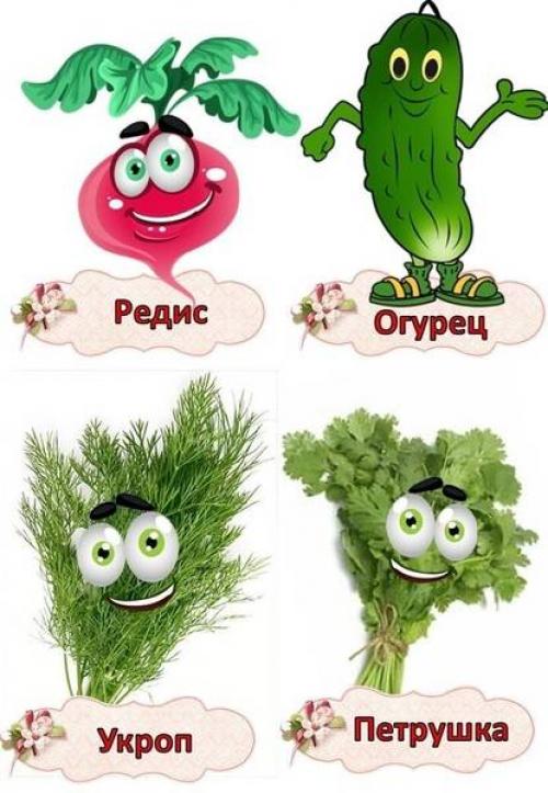 Огород на подоконнике в детском саду шаблоны. Карточки - бирки «Огород на подоконнике» материал