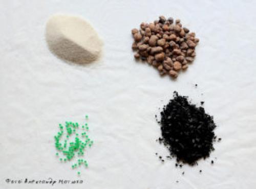 Суккуленты в прозрачных горшках. Мастер-класс по наполнению флорариума от цветовода – Александра Матюхи