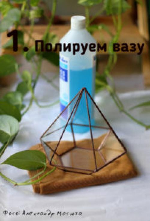 Суккуленты в прозрачных горшках. Мастер-класс по наполнению флорариума от цветовода – Александра Матюхи