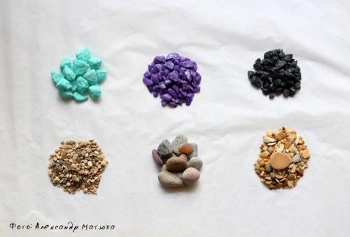 Суккуленты в прозрачных горшках. Мастер-класс по наполнению флорариума от цветовода – Александра Матюхи