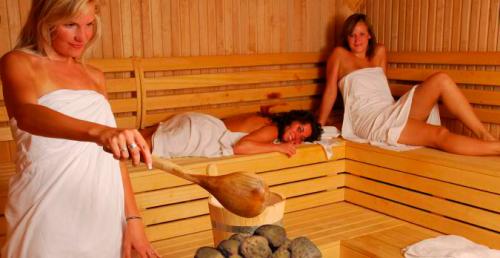 Виды каменок печей для бани: выбор идеального варианта 06