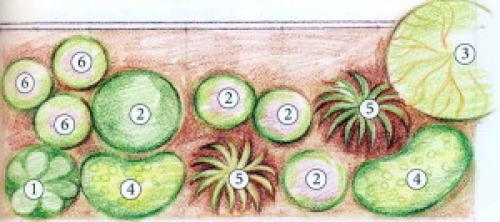 Схемы клумб для начинающих. Схемы простых клумб для начинающих