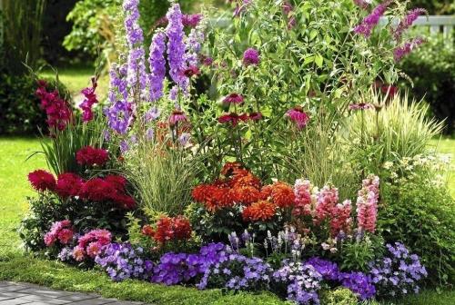 Секреты хорошего цветника на даче. Самые красивые схемы клумб из многолетних цветов и кустарников