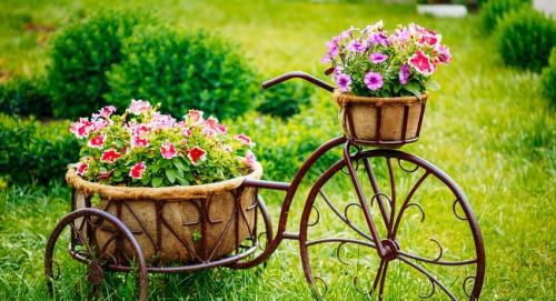 10 правил создания цветника. 10 правил создания цветочных клумб