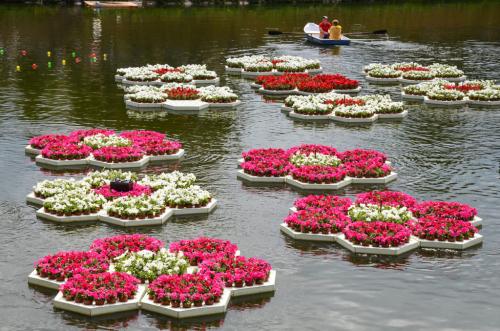 10 правил создания цветника. 10 правил создания цветочных клумб