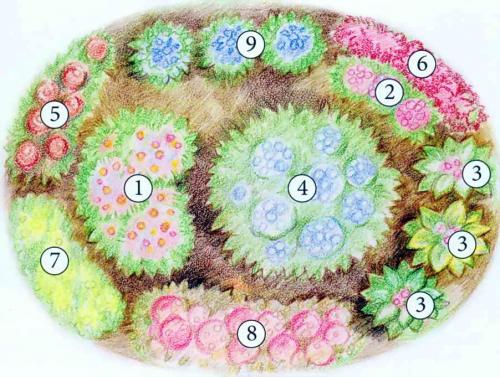 Секреты хорошего цветника на даче. Самые красивые схемы клумб из многолетних цветов и кустарников