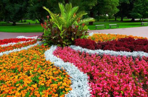 10 правил создания цветника. 10 правил создания цветочных клумб