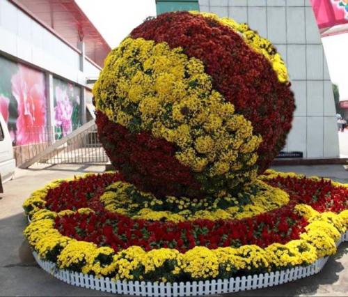 10 правил создания цветника. 10 правил создания цветочных клумб