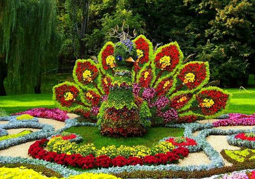 10 правил создания цветника. 10 правил создания цветочных клумб