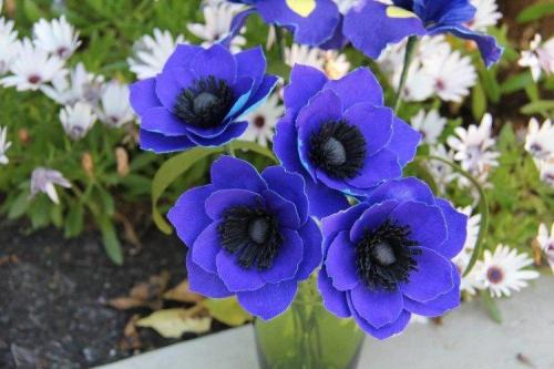 Какие многолетние цветы посадить на клумбе. Многолетние цветы для клумбы