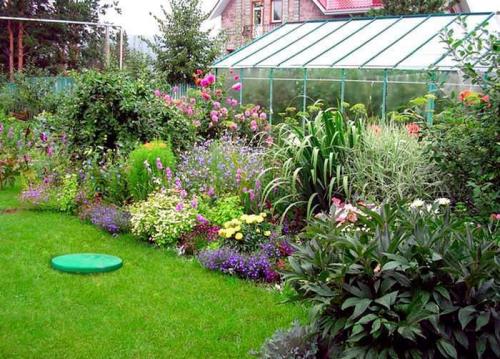 Как посадить красиво цветы на даче своими руками