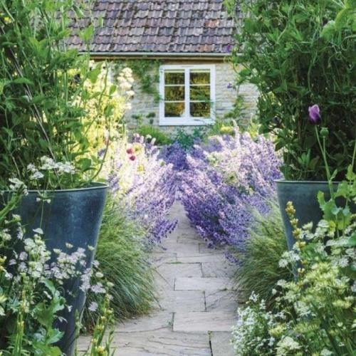 Палисадник своими руками для начинающих. Палисадник своими руками: из подручных средств, как оформить цветами, советы по выбору растений, примеры оформления (135 фото)