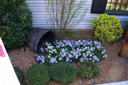 Палисадник своими руками для начинающих. Палисадник своими руками: из подручных средств, как оформить цветами, советы по выбору растений, примеры оформления (135 фото)