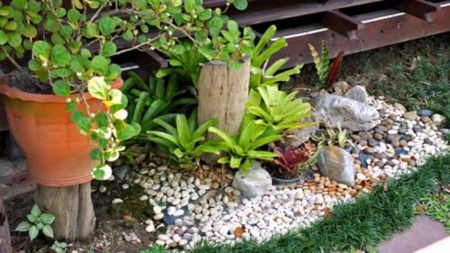 Палисадник своими руками для начинающих. Палисадник своими руками: из подручных средств, как оформить цветами, советы по выбору растений, примеры оформления (135 фото)