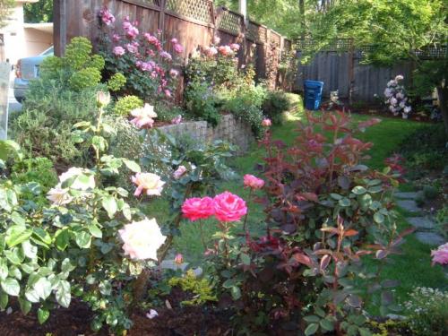 Палисадник своими руками для начинающих. Палисадник своими руками: из подручных средств, как оформить цветами, советы по выбору растений, примеры оформления (135 фото)