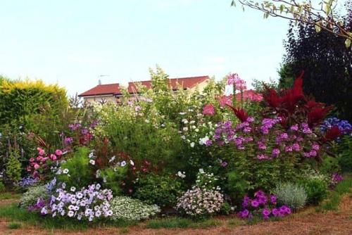 Идеи посадки цветов в саду. Миксбордер: виды и особенности