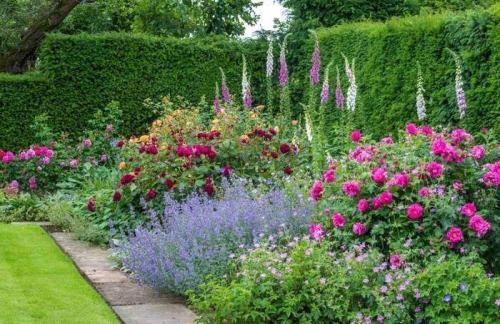 Идеи посадки цветов в саду. Миксбордер: виды и особенности