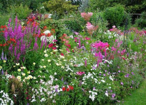 Идеи посадки цветов в саду. Миксбордер: виды и особенности