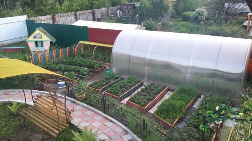 Планировка участка 6 соток 20 н.  Планировка участка с садом, огородом, теплицей и ягодником