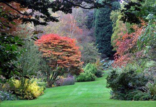 Пейзажный стиль в ландшафтном дизайне — естественность во всем
