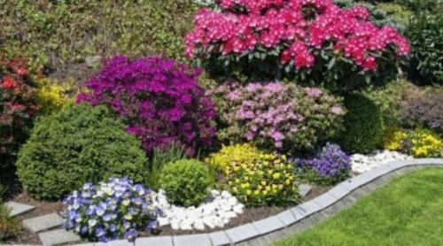 Клумбы непрерывного цветения – схемы с описанием цветов