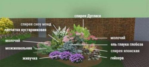 Клумбы непрерывного цветения – схемы с описанием цветов