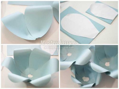 Цветы из бумаги шаблоны своими руками. Цветы из бумаги со схемами и шаблонами для вырезания 31