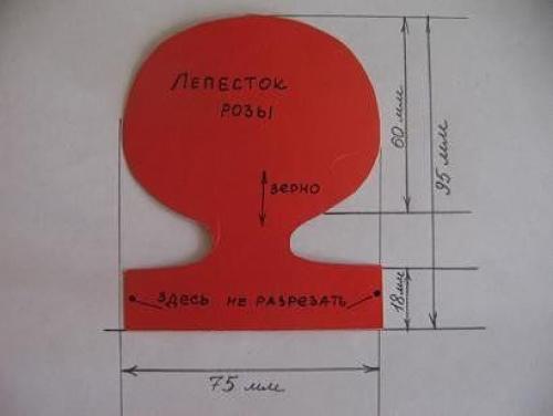 Цветы из бумаги шаблоны своими руками. Цветы из бумаги со схемами и шаблонами для вырезания 22