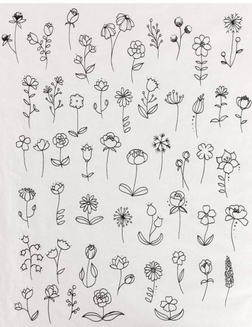 Красивые рисунки цветов. Рисунки цветов