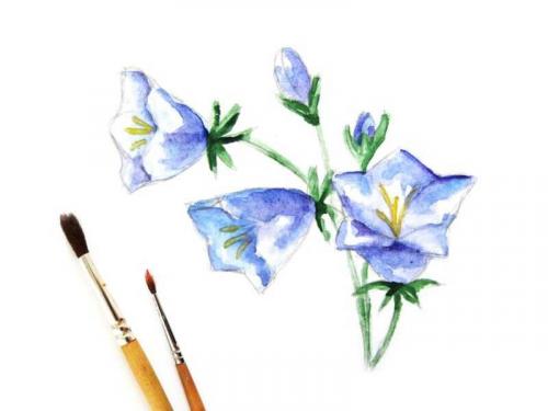 Цветок рисунок легкий. Как нарисовать цветок поэтапно карандашом, красками или фломастером: инструкция для начинающих с описанием всех этапов