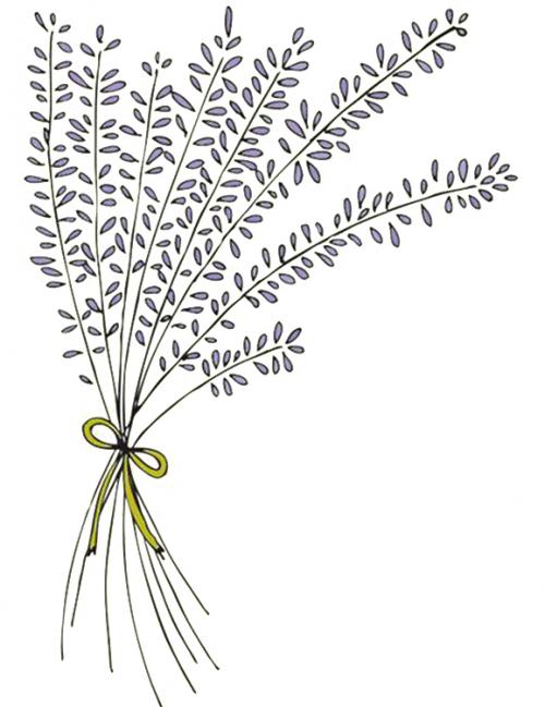 Красивые рисунки цветов. Рисунки цветов