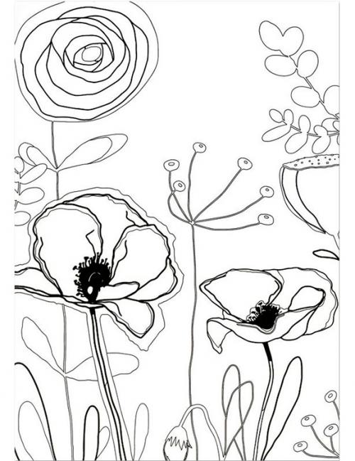 Красивые рисунки цветов. Рисунки цветов