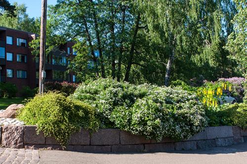 Сад малого ухода. Без хлопот. Как создать красивый сад, который не нуждается в сложном уходе