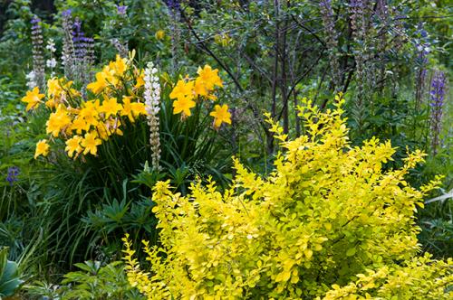 Сад малого ухода. Без хлопот. Как создать красивый сад, который не нуждается в сложном уходе