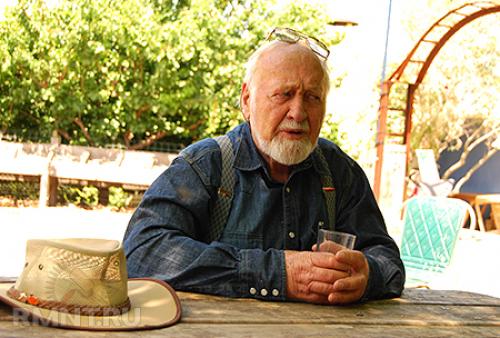 Малоуходный сад на шести сотках своими руками.. Малоуходный сад на небольшом участке 02