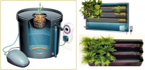 Живые цветы на стене. Гидропонный способ формирования фитокомпозиций