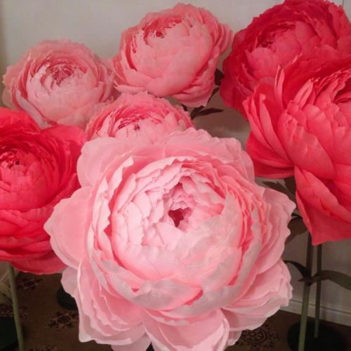 Рисунок цветов на стене в интерьере. Цветы на стене — советы по применению цветов в дизайне интерьера. Красивые сочетания и интересные варианты оформления (85 фото + видео)