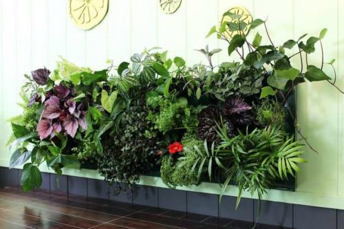 Живые цветы на стене. Гидропонный способ формирования фитокомпозиций